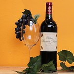 漫遊酒鄉:Chateau Branaire-Ducru 2006 漫遊酒鄉:Chateau Branaire-Ducru 2006