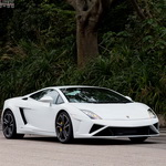 Lamborghini New Gallardo LP560-4 小改添魅力 Lamborghini New Gallardo LP560-4 小改添魅力