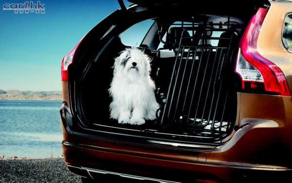 volvo-dog-gate-2014