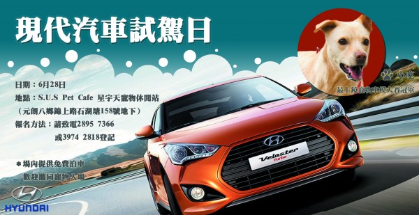 hyundai-show-2015-june