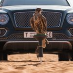賓利 Bentayga 推出鷹獵套件 賓利 Bentayga 推出鷹獵套件