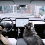 Tesla 車輛新增狗狗和 Sentry 防盜功能 Tesla 車輛新增狗狗和 Sentry 防盜功能