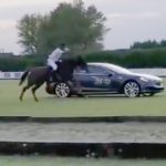 Tesla Model S 跟馬匹對決!能贏嗎? Tesla Model S 跟馬匹對決!能贏嗎?