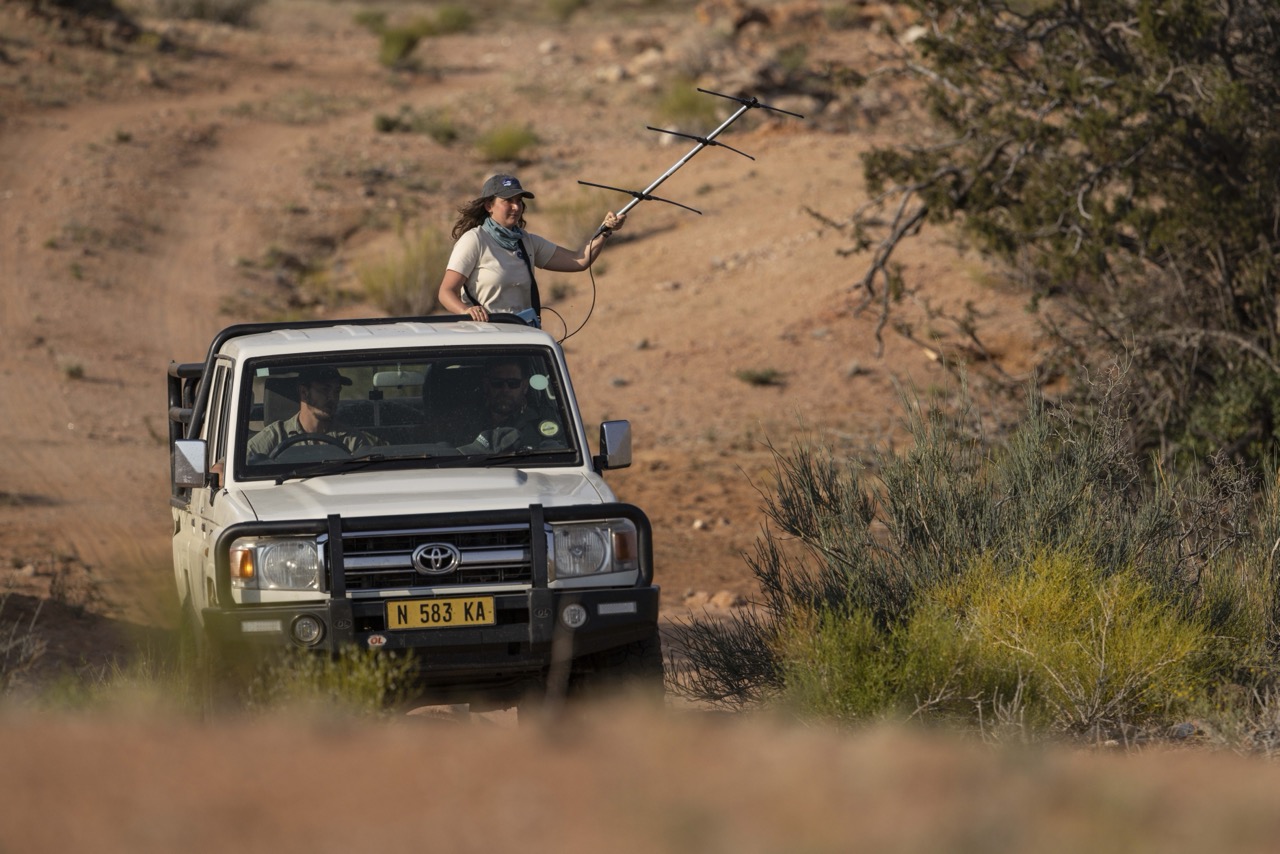 沙漠重啟生命引擎!ORKCA 在納米比亞南端上演「史詩級復野計劃」