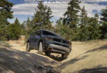 Honda Passport TrailSport 底盤暴升近 10 吋!狂野懸掛徹底重組顛覆同級